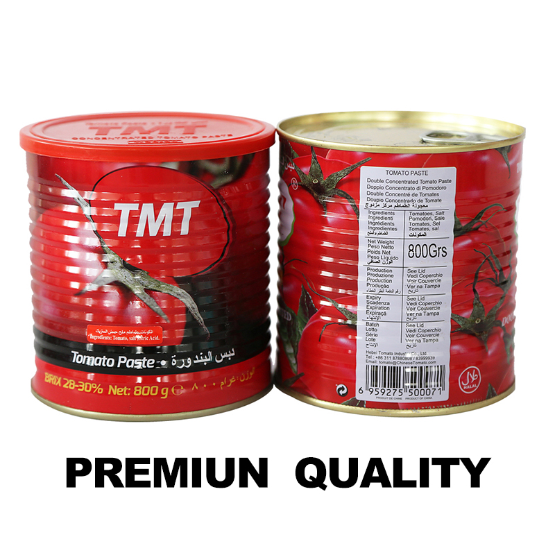 Hot Selling 800g*12tins New Fresh High Quality Tin Tomato Paste